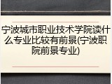 宁波城市职业技术学院读什么专业比较有前景(宁波职院前景专业)