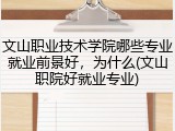 文山职业技术学院哪些专业就业前景好，为什么(文山职院好就业专业)