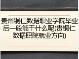 贵州铜仁数据职业学院毕业后一般能干什么呢(贵铜仁数据职院就业方向)
