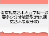 南京视觉艺术职业学院一般要多少分才能录取(南京视觉艺术录取分数)