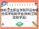 铁岭卫生职业学院开设有哪些奖学和助学金(铁岭卫院奖助学金)