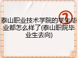 泰山职业技术学院的学生毕业都怎么样了(泰山职院毕业生去向)