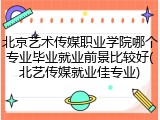 北京艺术传媒职业学院哪个专业毕业就业前景比较好(北艺传媒就业佳专业)