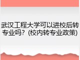武汉工程大学可以进校后转专业吗？(校内转专业政策)