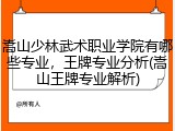 嵩山少林武术职业学院有哪些专业，王牌专业分析(嵩山王牌专业解析)