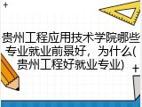 贵州工程应用技术学院哪些专业就业前景好，为什么(贵州工程好就业专业)