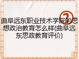曲阜远东职业技术学院的思想政治教育怎么样(曲阜远东思政教育评价)