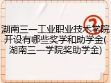 湖南三一工业职业技术学院开设有哪些奖学和助学金(湖南三一学院奖助学金)