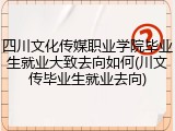 四川文化传媒职业学院毕业生就业大致去向如何(川文传毕业生就业去向)