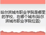 哈尔滨城市职业学院是哪里的学校，在哪个城市(哈尔滨城市职业学院位置)