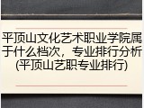 平顶山文化艺术职业学院属于什么档次，专业排行分析(平顶山艺职专业排行)