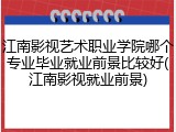 江南影视艺术职业学院哪个专业毕业就业前景比较好(江南影视就业前景)