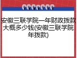 安徽三联学院一年财政拨款大概多少钱(安徽三联学院年拨款)
