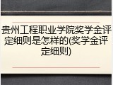 贵州工程职业学院奖学金评定细则是怎样的(奖学金评定细则)