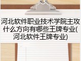 河北软件职业技术学院主攻什么方向有哪些王牌专业(河北软件王牌专业)