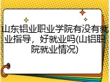 山东铝业职业学院有没有就业指导，好就业吗(山铝职院就业情况)