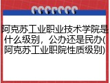 阿克苏工业职业技术学院是什么级别，公办还是民办(阿克苏工业职院性质级别)