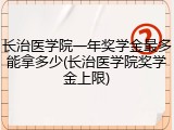 长治医学院一年奖学金最多能拿多少(长治医学院奖学金上限)