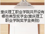 重庆理工职业学院共开设有哪些类型奖学金(重庆理工职业学院奖学金类别)