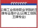 云南工业信息职业学院的王牌专业是什么(云南工信院王牌专业)