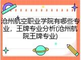 沧州航空职业学院有哪些专业，王牌专业分析(沧州航院王牌专业)