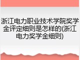 浙江电力职业技术学院奖学金评定细则是怎样的(浙江电力奖学金细则)