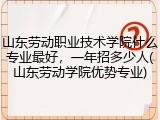 山东劳动职业技术学院什么专业最好，一年招多少人(山东劳动学院优势专业)