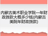 内蒙古美术职业学院一年财政拨款大概多少钱(内蒙古美院年财政拨款)