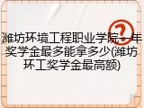 潍坊环境工程职业学院一年奖学金最多能拿多少(潍坊环工奖学金最高额)