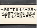 合肥通用职业技术学院是专科还是本科院校呢(合肥通用职业技术学院学历层次)