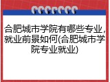 合肥城市学院有哪些专业，就业前景如何(合肥城市学院专业就业)