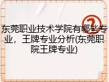 东莞职业技术学院有哪些专业，王牌专业分析(东莞职院王牌专业)