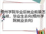 梧州学院毕业后就业前景怎么样，毕业生去向(梧州学院就业去向)