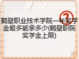 鹤壁职业技术学院一年奖学金最多能拿多少(鹤壁职院奖学金上限)