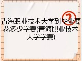 青海职业技术大学到毕业要花多少学费(青海职业技术大学学费)