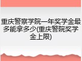 重庆警察学院一年奖学金最多能拿多少(重庆警院奖学金上限)