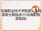 乌海职业技术学院是一本吗录取分数线多少(乌海职院录取线)