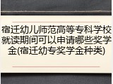 宿迁幼儿师范高等专科学校就读期间可以申请哪些奖学金(宿迁幼专奖学金种类)