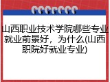 山西职业技术学院哪些专业就业前景好，为什么(山西职院好就业专业)