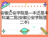 安徽公安学院是一本还是本科第二批(安徽公安学院是二本)