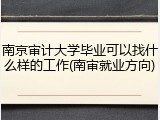 南京审计大学毕业可以找什么样的工作(南审就业方向)