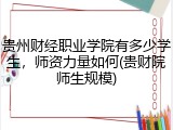 贵州财经职业学院有多少学生，师资力量如何(贵财院师生规模)