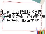 平顶山工业职业技术学院一年学费多少钱，还有哪些费用(平顶山职院学费)