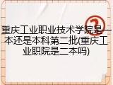 重庆工业职业技术学院是一本还是本科第二批(重庆工业职院是二本吗)