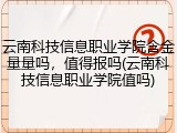 云南科技信息职业学院含金量量吗，值得报吗(云南科技信息职业学院值吗)