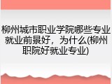 柳州城市职业学院哪些专业就业前景好，为什么(柳州职院好就业专业)