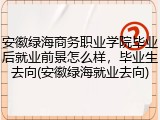 安徽绿海商务职业学院毕业后就业前景怎么样，毕业生去向(安徽绿海就业去向)
