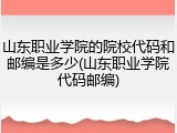 山东职业学院的院校代码和邮编是多少(山东职业学院代码邮编)