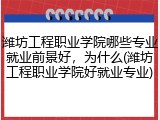 潍坊工程职业学院哪些专业就业前景好，为什么(潍坊工程职业学院好就业专业)