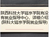 陕西科技大学镐京学院有没有就业指导中心，详细介绍(陕科大镐京学院就业指导)